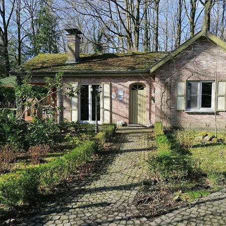 Rainbow Lodge Ursel Екстериор снимка