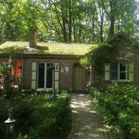 Rainbow Lodge Ursel Екстериор снимка