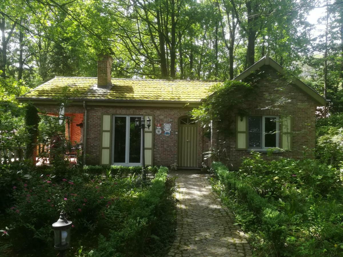 Rainbow Lodge Ursel Екстериор снимка